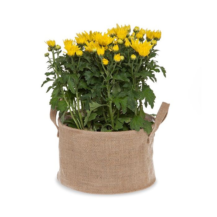 Jute Collection: 12-Pack 9.5" Round Natural Jute Storage Baskets with Plastic Liner