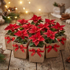 Holiday Collection: 12-Pack 5" Small Square Natural Jute Utility Bags with Red Bow