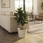 12-Pack: 13" Round White Washed Split Bamboo Planters